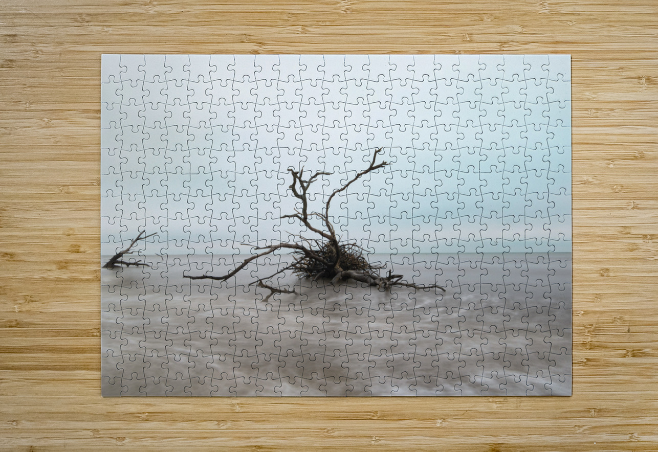 Botany Bay Tree 2 Norma Brandsberg Photography Puzzle printing