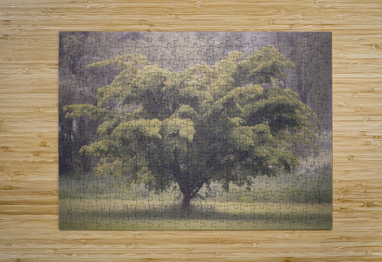 Cedar Creek Park   Late Spring Dogwood Jason Fink Puzzle printing