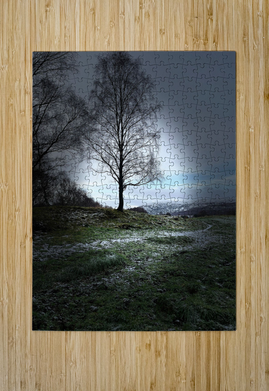  Scenes from the Trail- Tree Catriona Roberts Nature Photography and Designs Puzzle printing