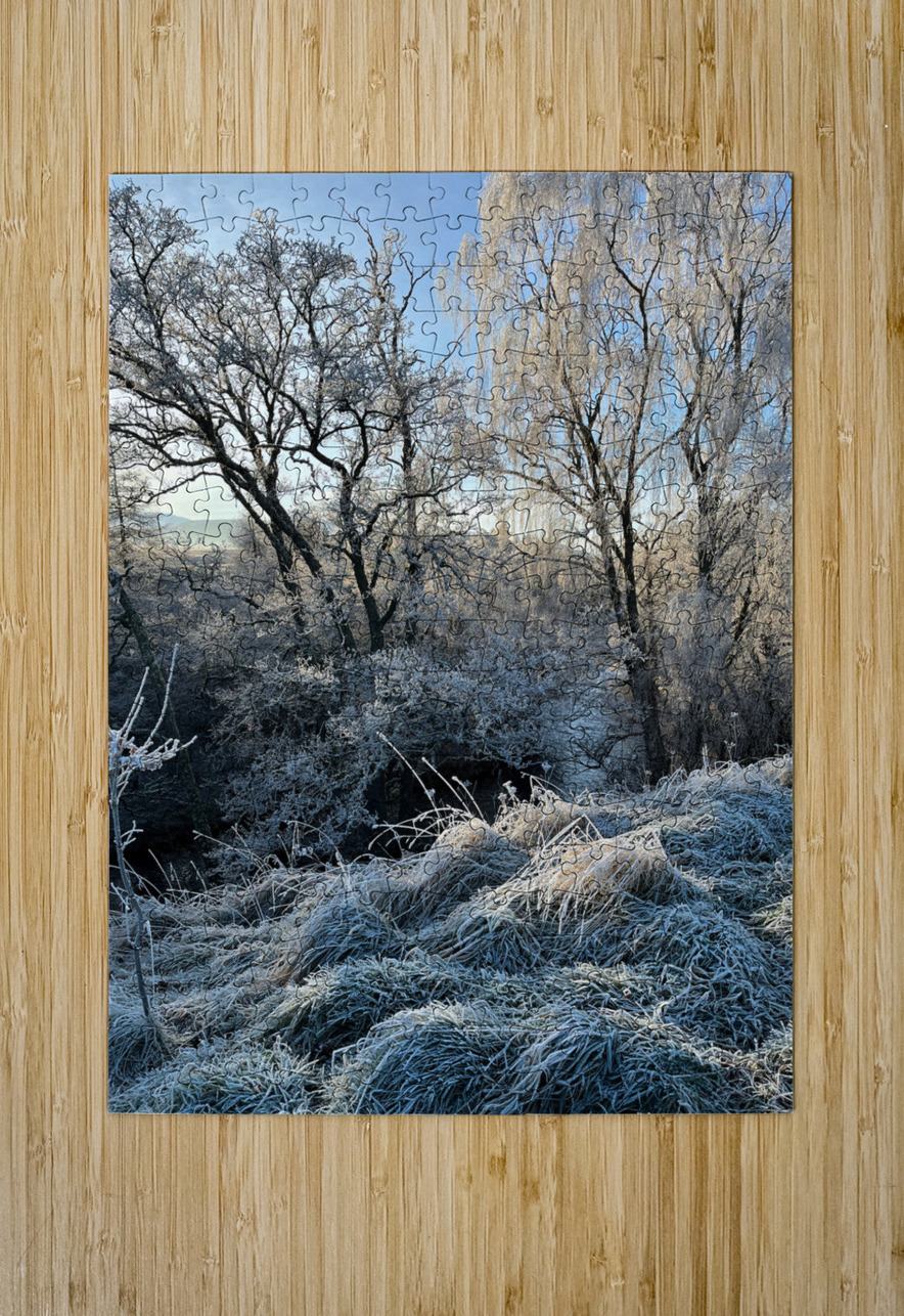Winters Frosty Nature in the Scottish Highlands  Catriona Roberts Nature Photography and Designs Puzzle printing