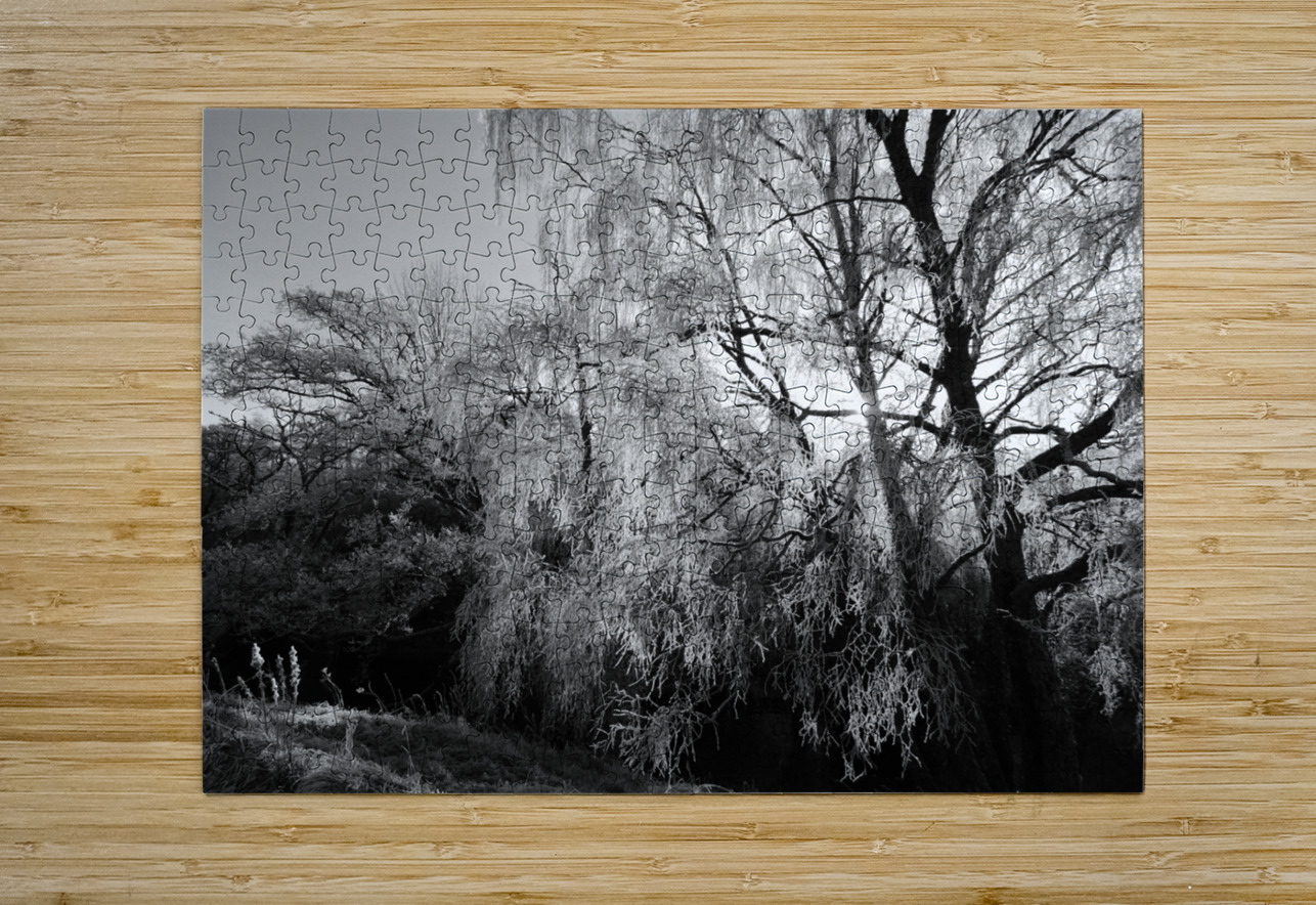  Black and White Winter Beauty in the Scottish Highlands Catriona Roberts Nature Photography and Designs Puzzle printing