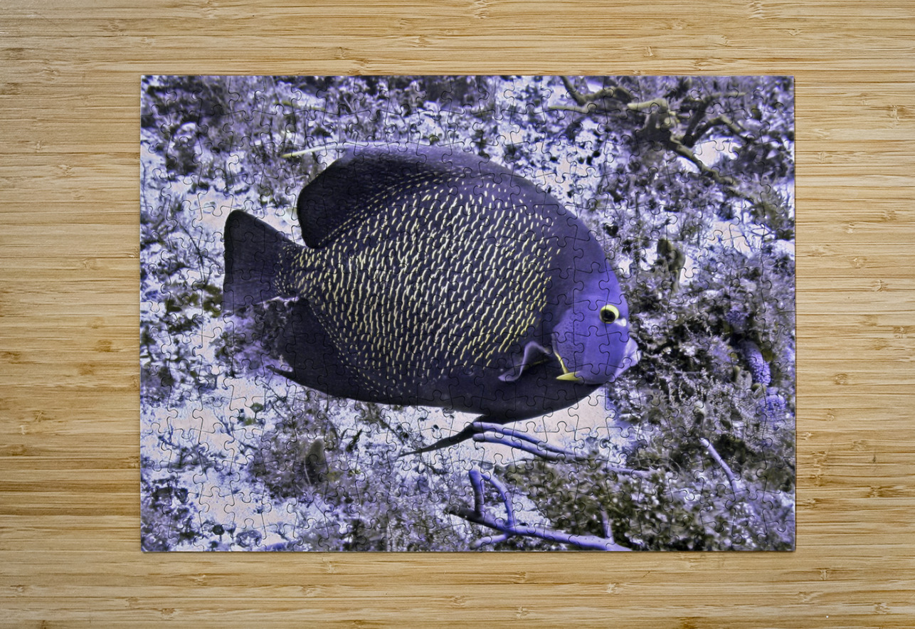 Twelve DeepEarth Photography Puzzle printing