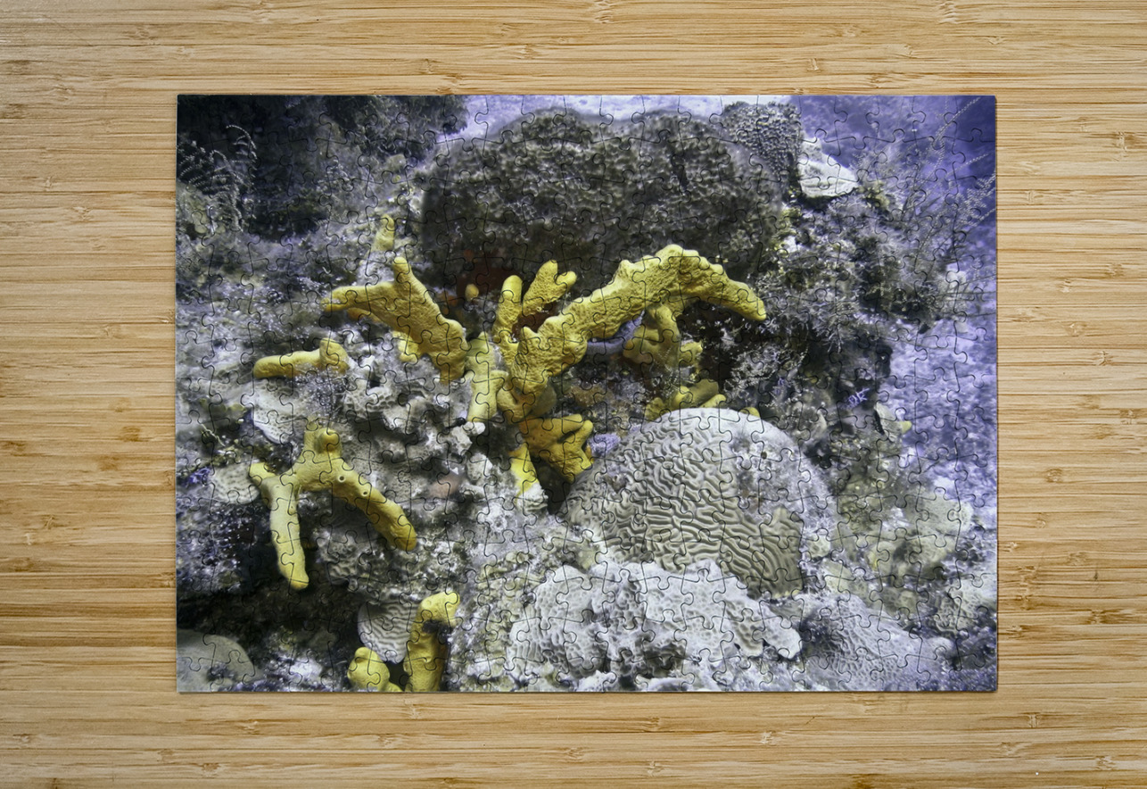 Copyright DeepEarth Photography Puzzle printing