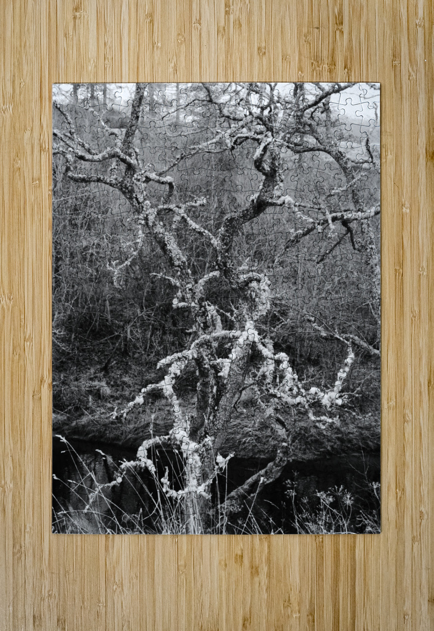 Black and White Winter in the Scottish Highlands Catriona Roberts Nature Photography and Designs Puzzle printing