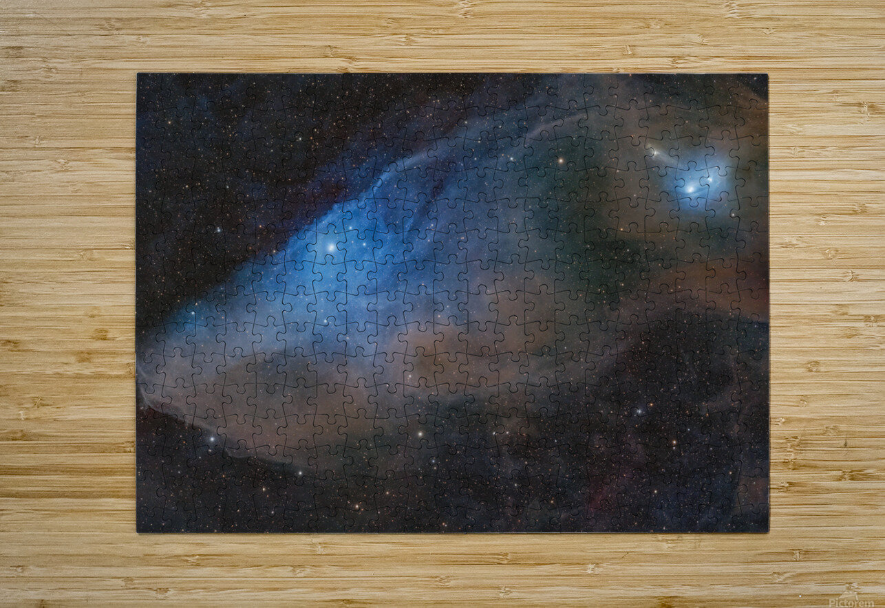 BlueHorseHead Toozastro Puzzle printing