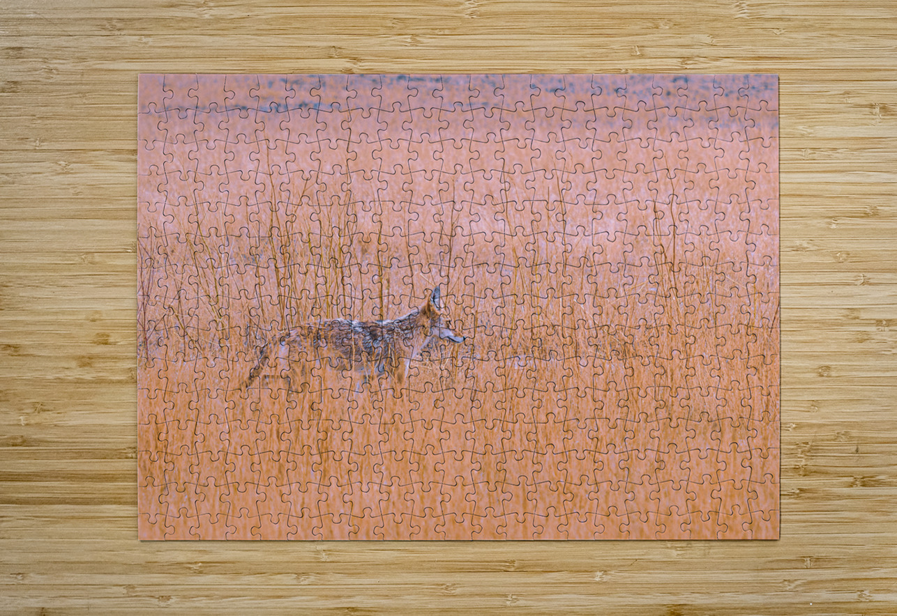 Badlands Cayote Geoffrey Prior Puzzle printing