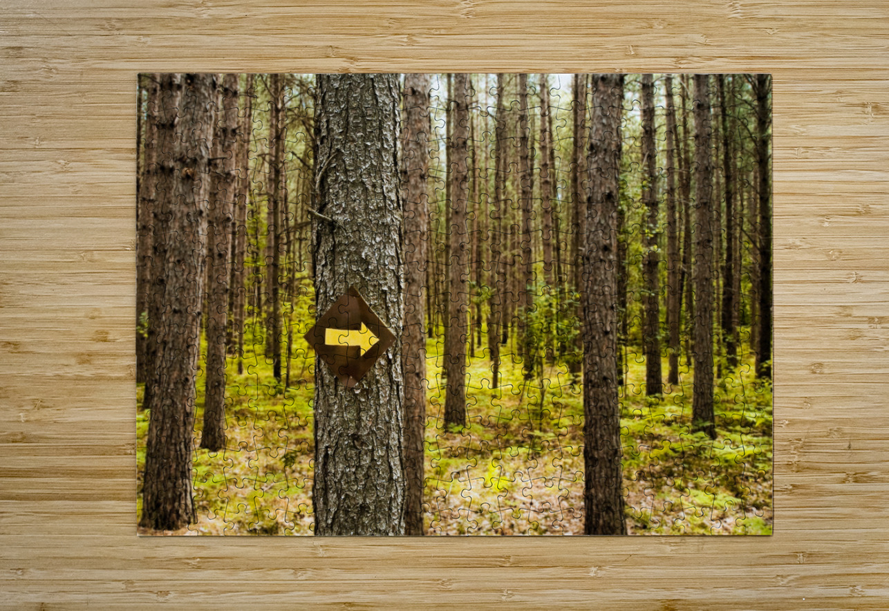 This Way Mark Schacter Puzzle printing