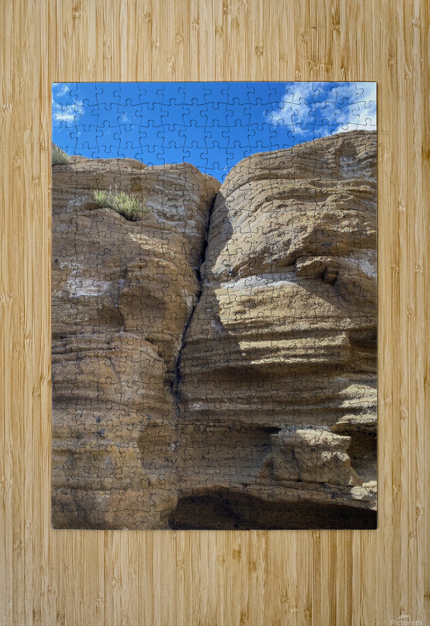 IMG 0911 Bobby DeMarco Puzzle printing