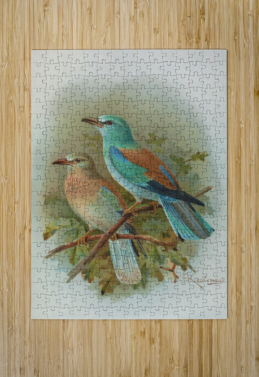 Coracias garrula by Johann Friedrich Naumann [1780–1857] MyCozyFineArt Puzzle printing
