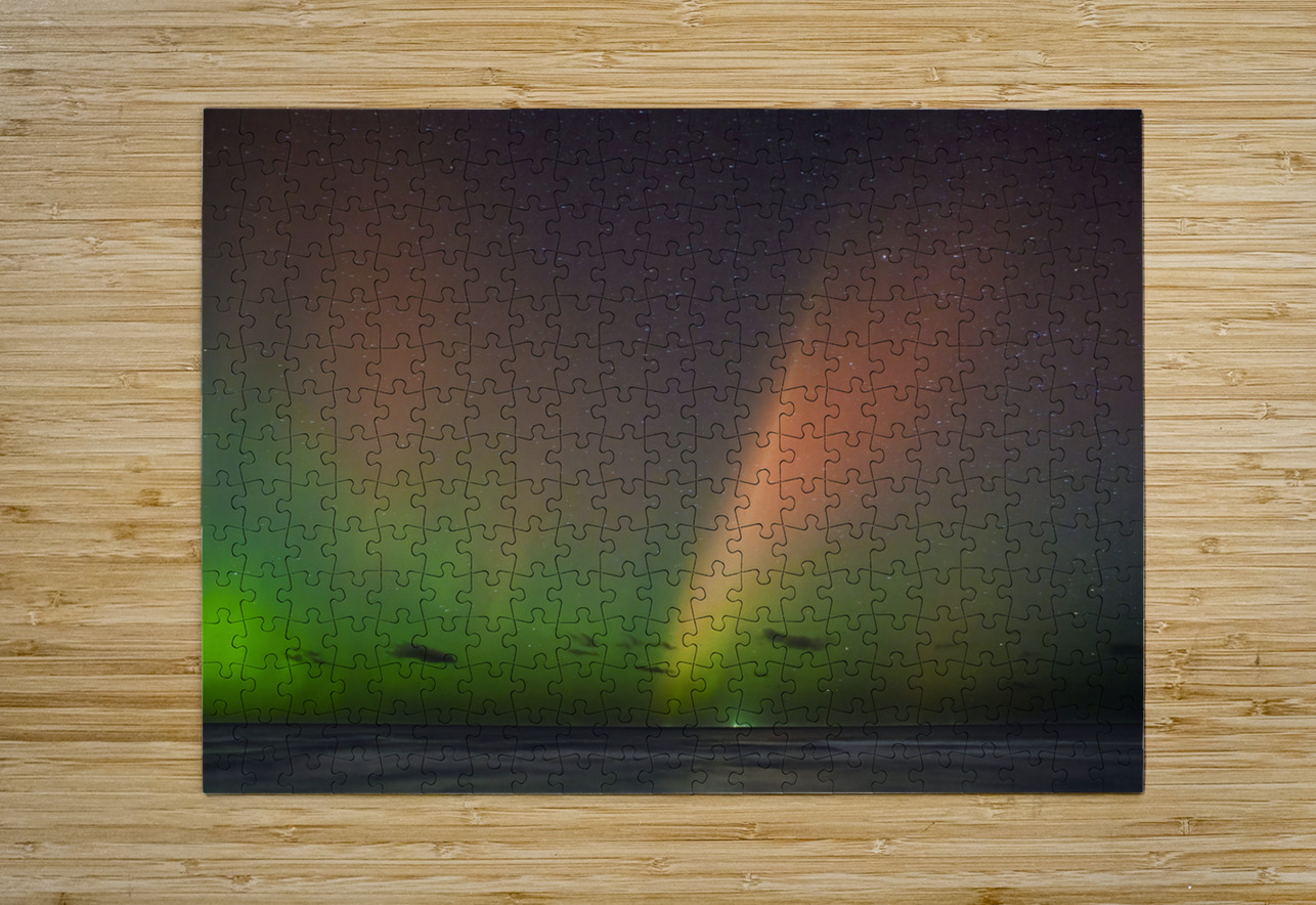 Aurora Borealis Scusset Beach  6 Steven M Becker Puzzle printing