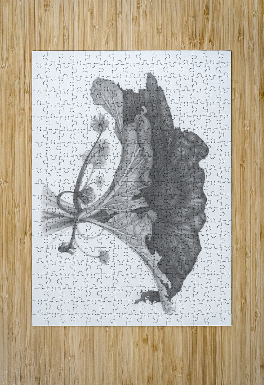 Fragment dun monde inconnu 4 Marcel Jomphe Puzzle printing