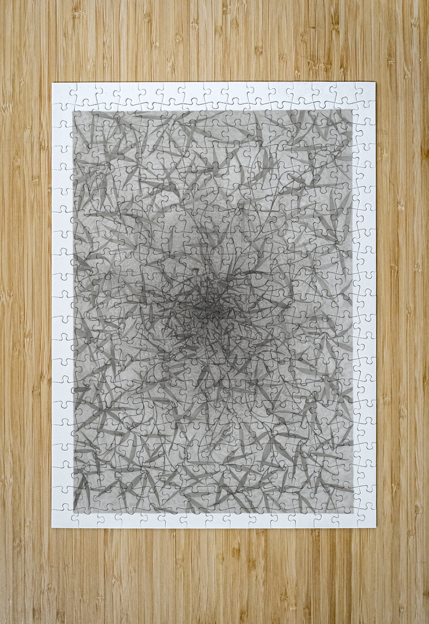 Mandala 7 Marcel Jomphe Puzzle printing