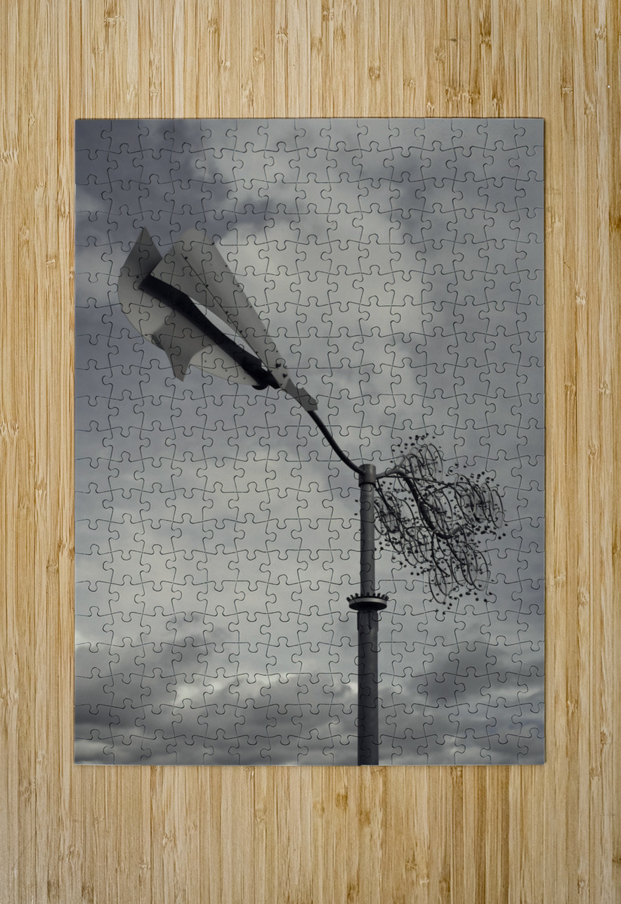 FS240229 36  FOTOSQUARES COM Puzzle printing