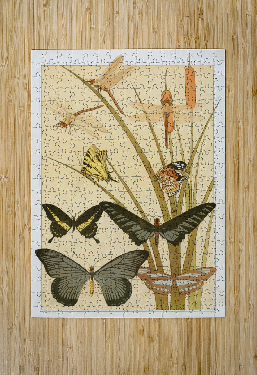 Papillons [1897] by Maurice Pillard Verneuil [1869–1942] MyCozyFineArt Puzzle printing