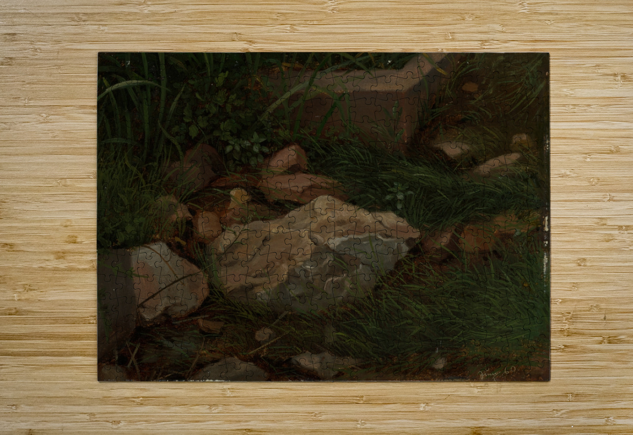 Steine im Gras [1860] by Hans Thoma [1839–1924] MyCozyFineArt Puzzle printing