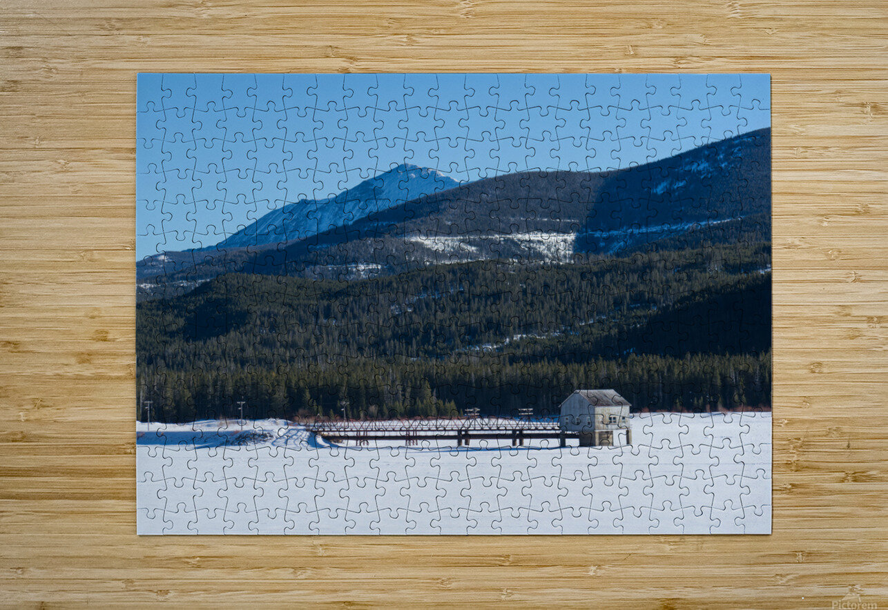 DSC 3357 Paul Radoicich Puzzle printing