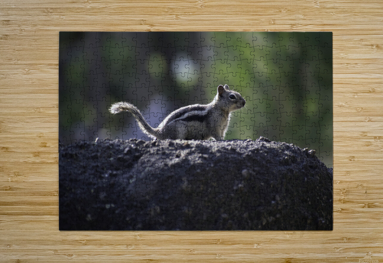 DSC 3989 Paul Radoicich Puzzle printing