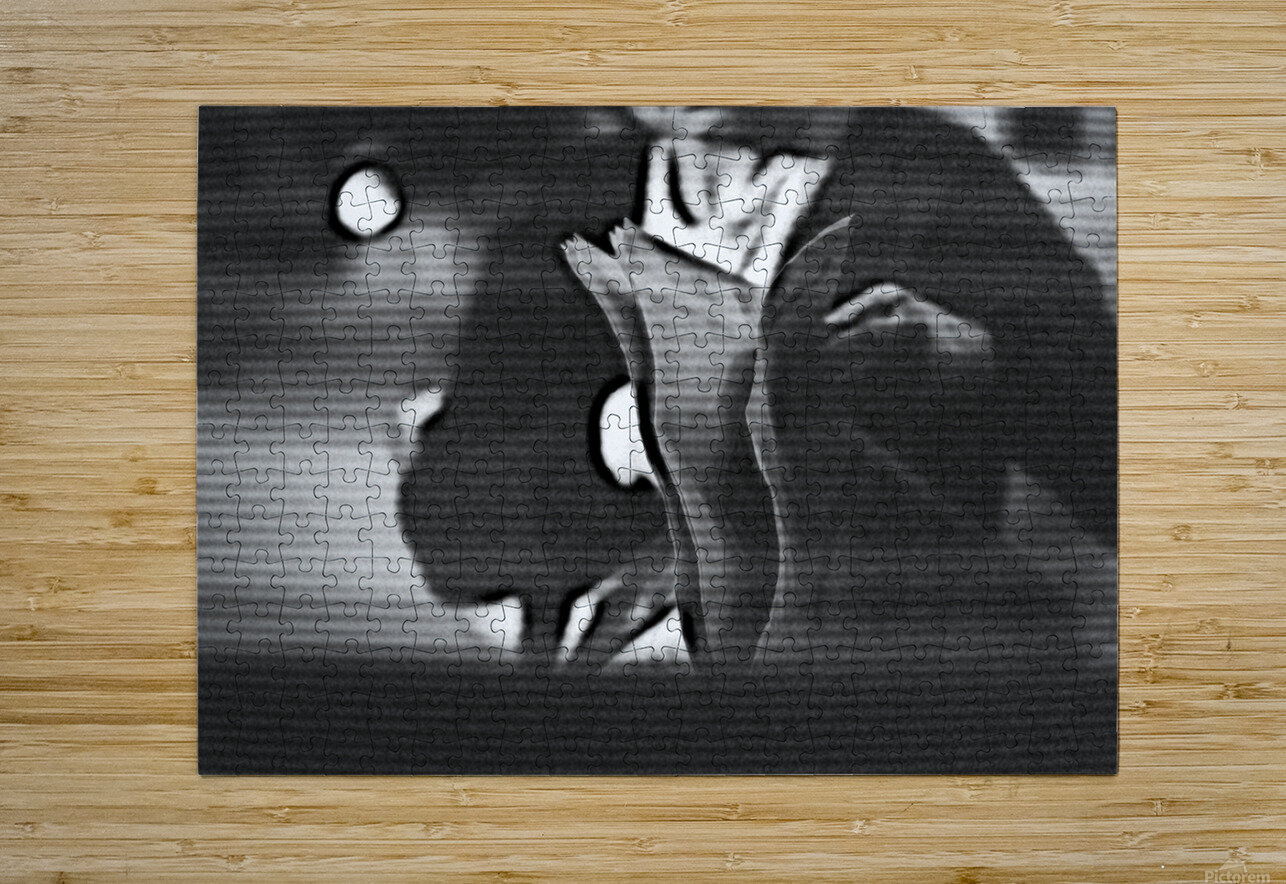 lonely woman reading in the evening room latest newspaper   reading breaking news Adrian H  Puzzle printing