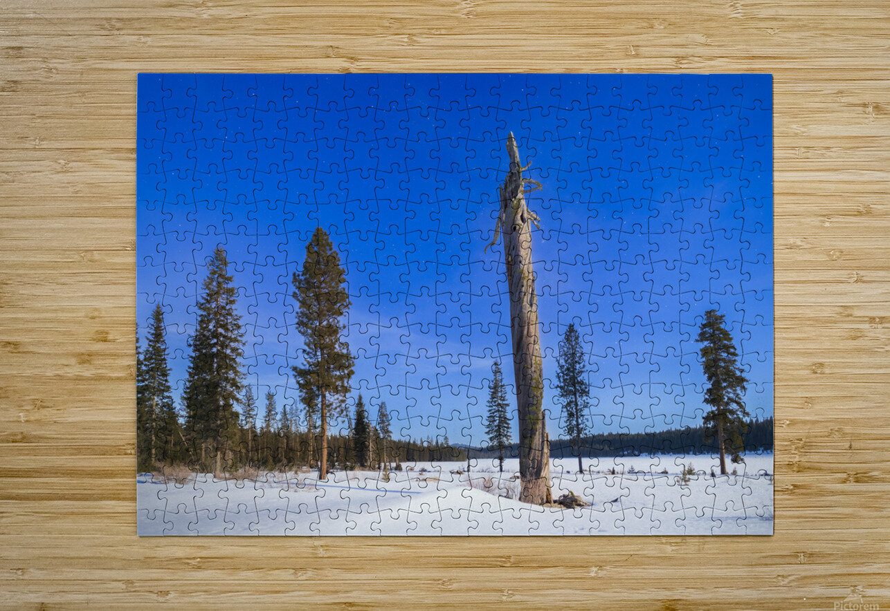 Moonlit Sentinel - Long Lake - Lassen County California nightscape Mike Lee Puzzle printing