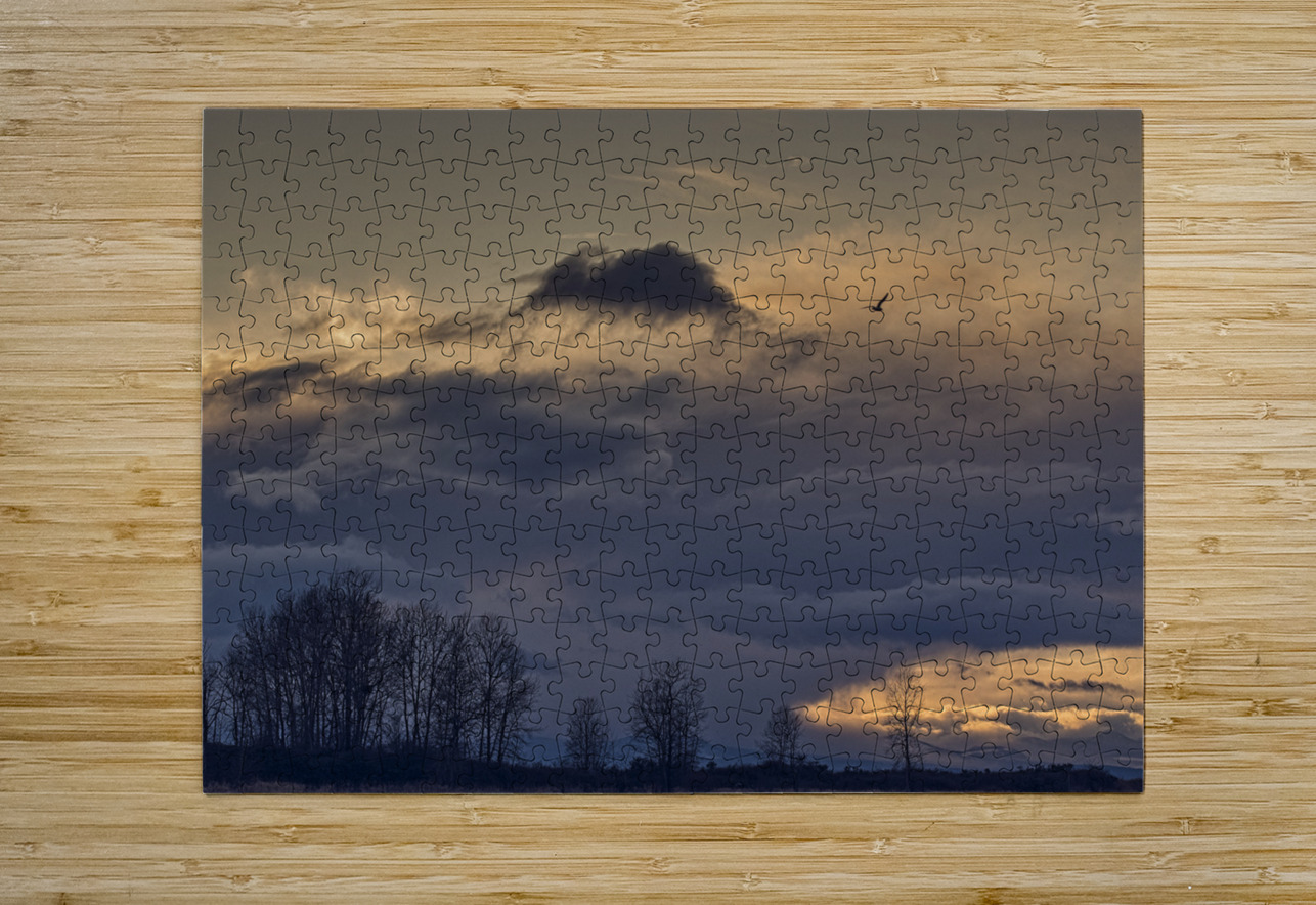 FS250201 SUNSET AT IMPERIAL LANDING FOTOSQUARES COM Puzzle printing