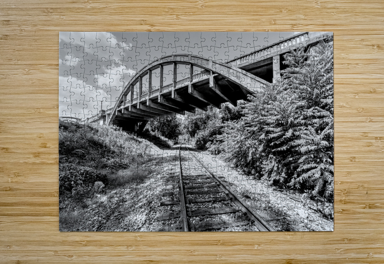 Railroad Tracks Under Cotter Bridge Grayscale Jennifer White Puzzle printing