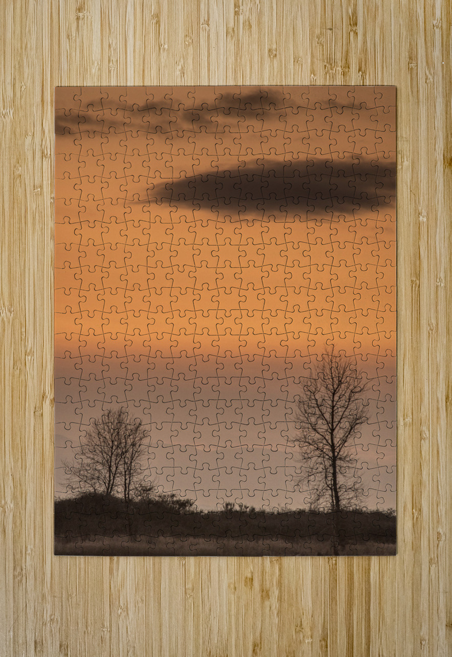 20250121 07 154 FOTOSQUARES COM Puzzle printing