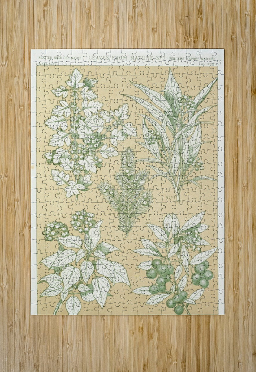 Leaves from Nature No.7 [1856] by Owen Jones [1809–1874] MyCozyFineArt Puzzle printing