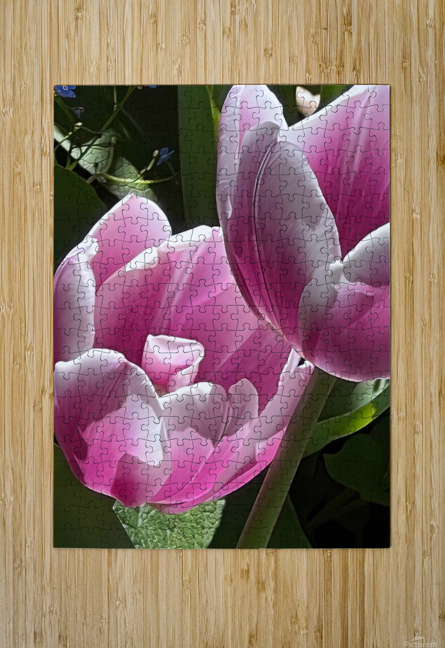 IMG 6066 Linda Joan Miller Puzzle printing