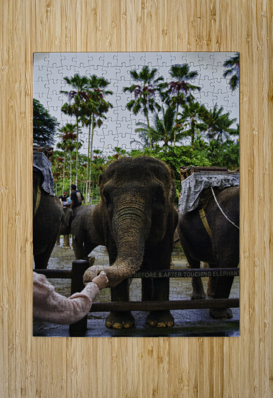 Touch of Trust AM Productions Puzzle printing