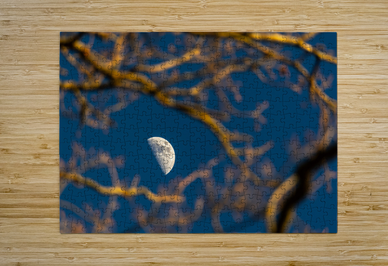 Beautiful image of a crescent moon seen through three branches at sunset  caladoart Puzzle printing