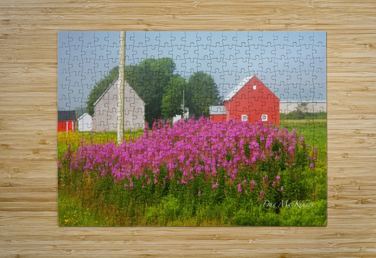 Foggy Day on the Farm Dan MacKinnon Puzzle printing