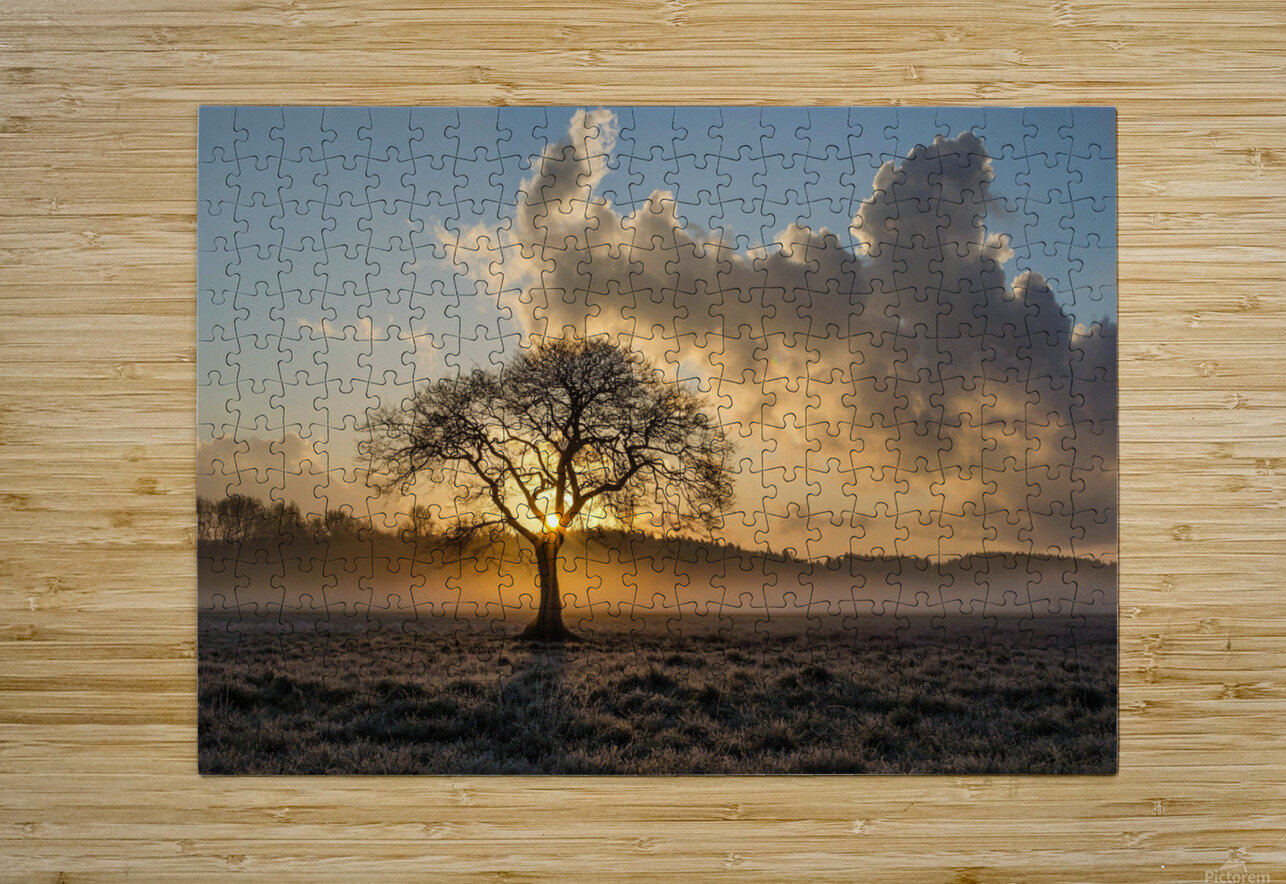 Lone tree Tree Oak Blakof Puzzle printing