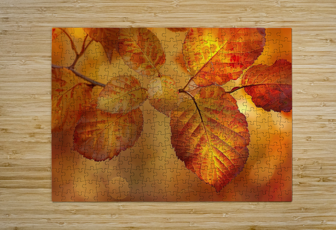 Autumn Leaves Glowing Y59H7N 45 Abstract Rebellion Puzzle printing