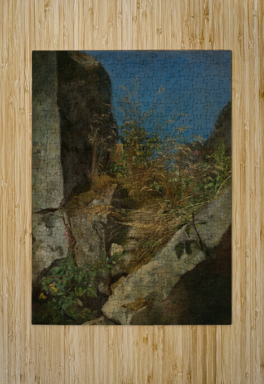 Gräser zwischen Felsen [1863] by Hans Thoma [1839–1924] MyCozyFineArt Puzzle printing