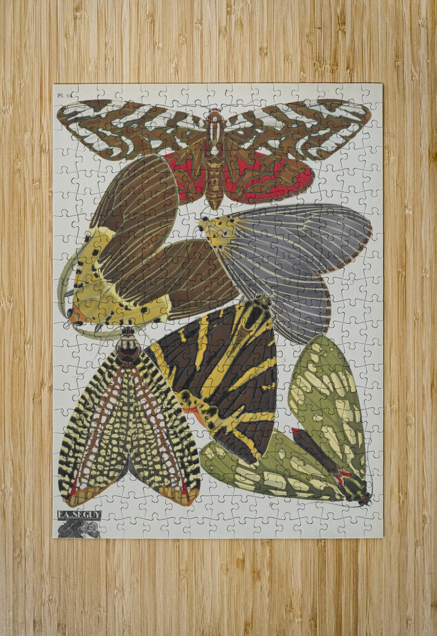 Papillons Pl.14 [1920] by Emile–Allain Séguy [1877–1951] MyCozyFineArt Puzzle printing