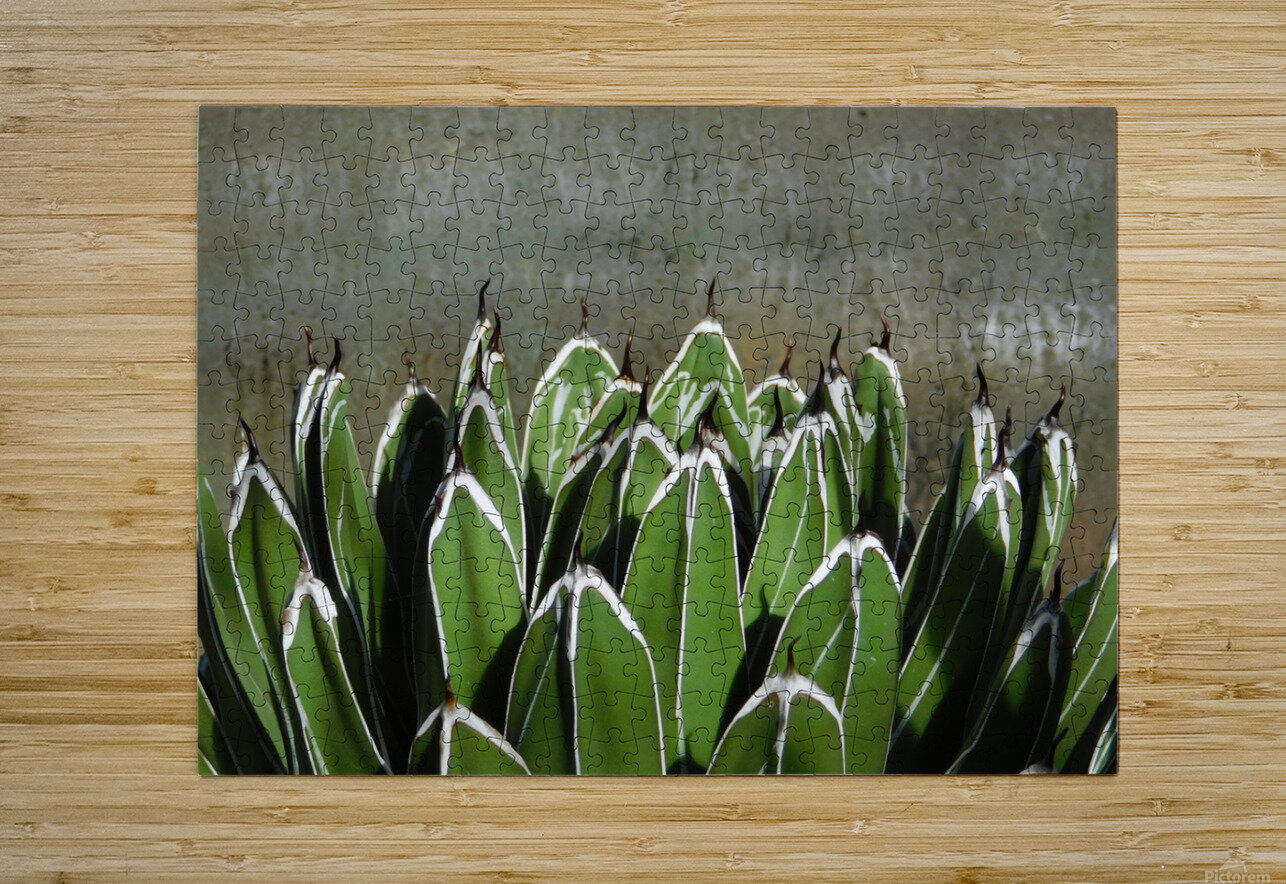 The claws Atlas Tracer Puzzle printing