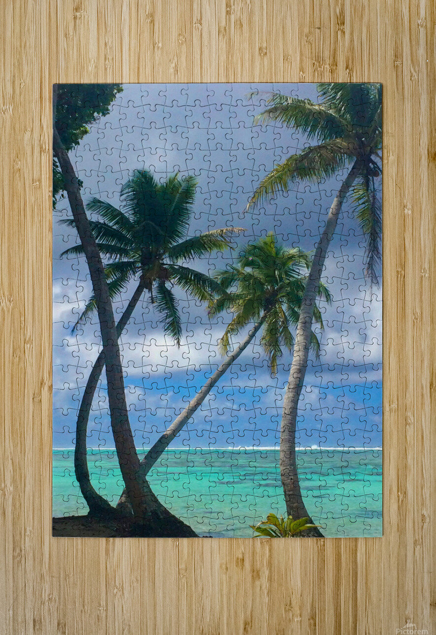 Motu Mahaea Palms Jim Dodson Puzzle printing
