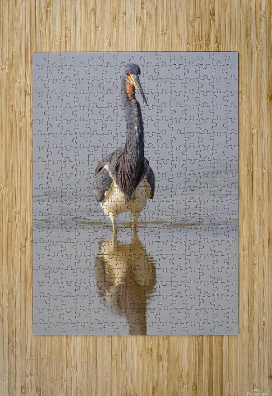 Tri colored Heron 3060 Robert Burnett Puzzle printing