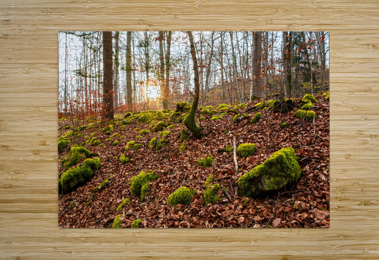 Evening sun reflecting on beautiful moss covered rocks in the forest  caladoart Puzzle printing
