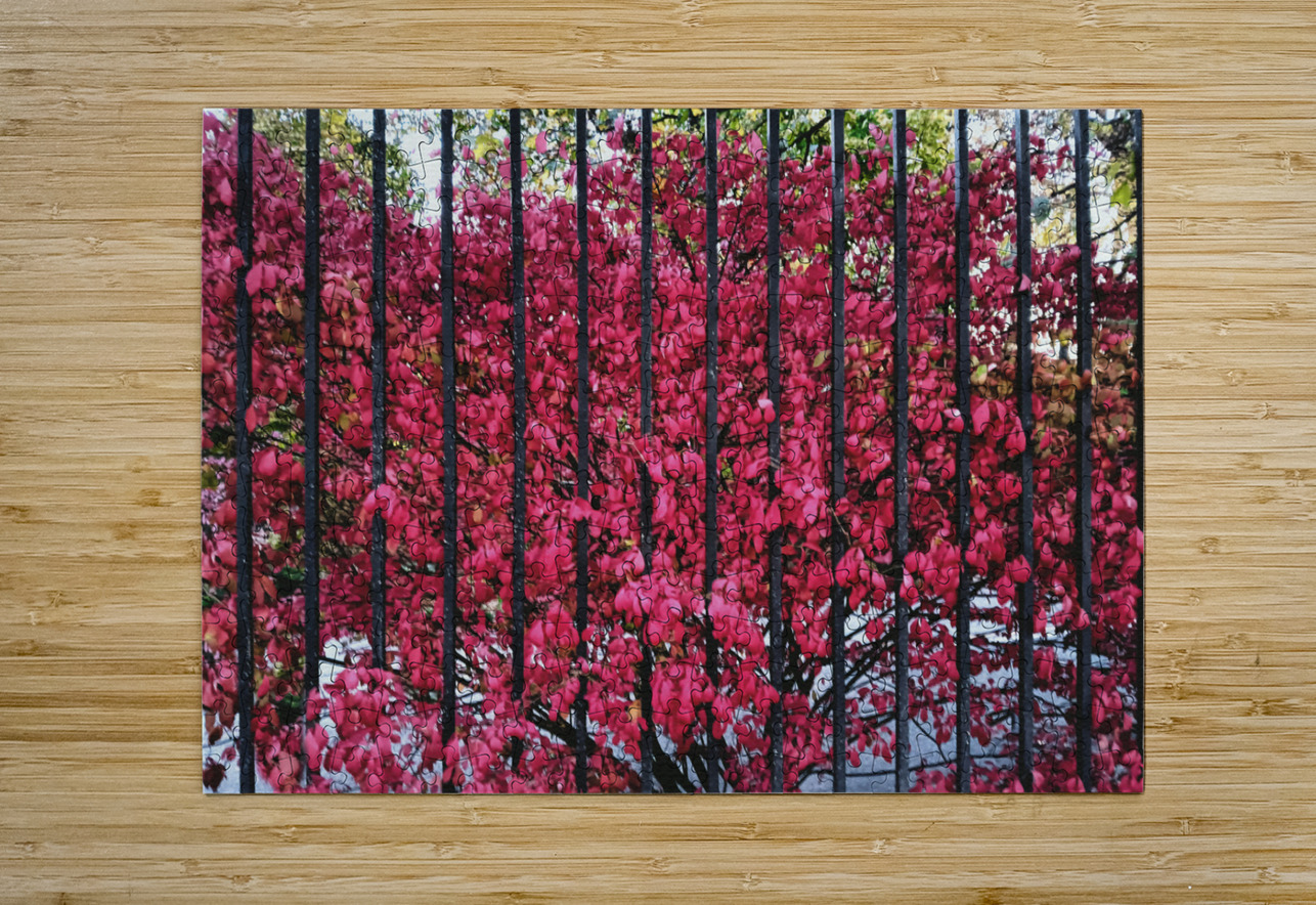 Burning Bush Behind Bars Thea Menagh Impression de puzzle