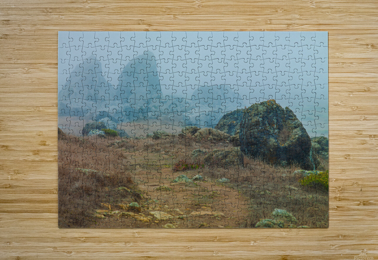 Gull Rock Jesse Goff Puzzle printing