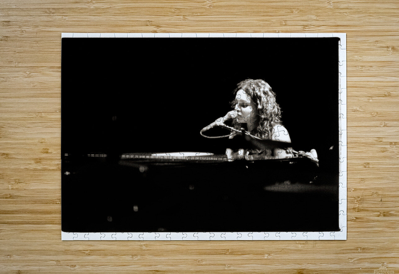 Norah Jones Sedona Jesse Goff Puzzle printing