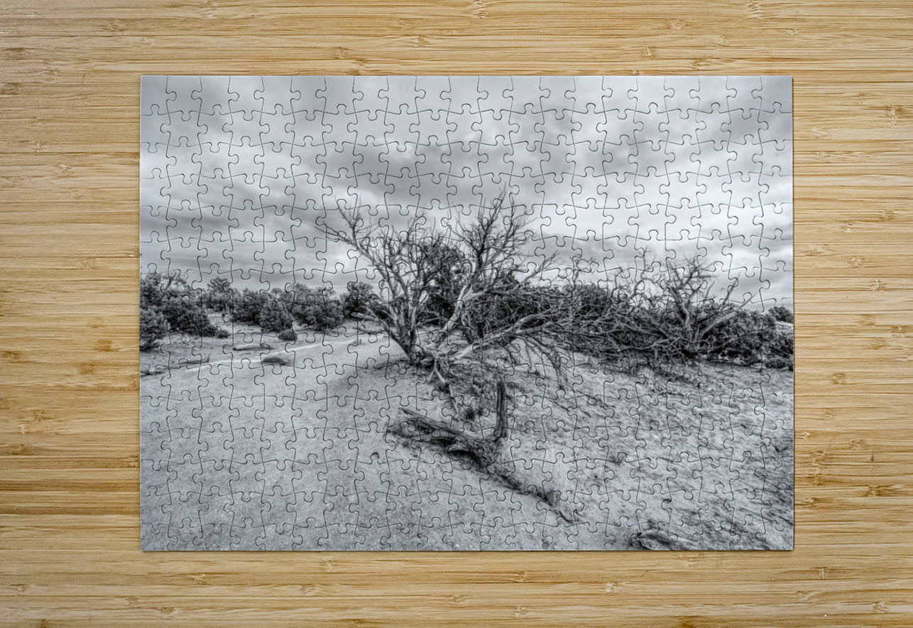 Juniper Along Mesa Arch Trail Grayscale Jennifer White Puzzle printing