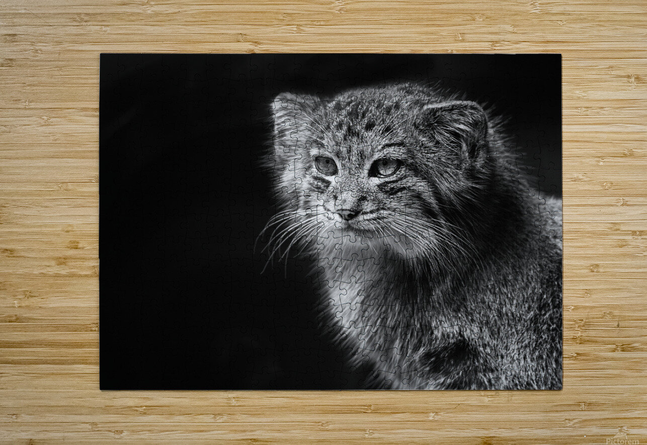 A Symphony of Grace and Charm Tizo Puzzle printing