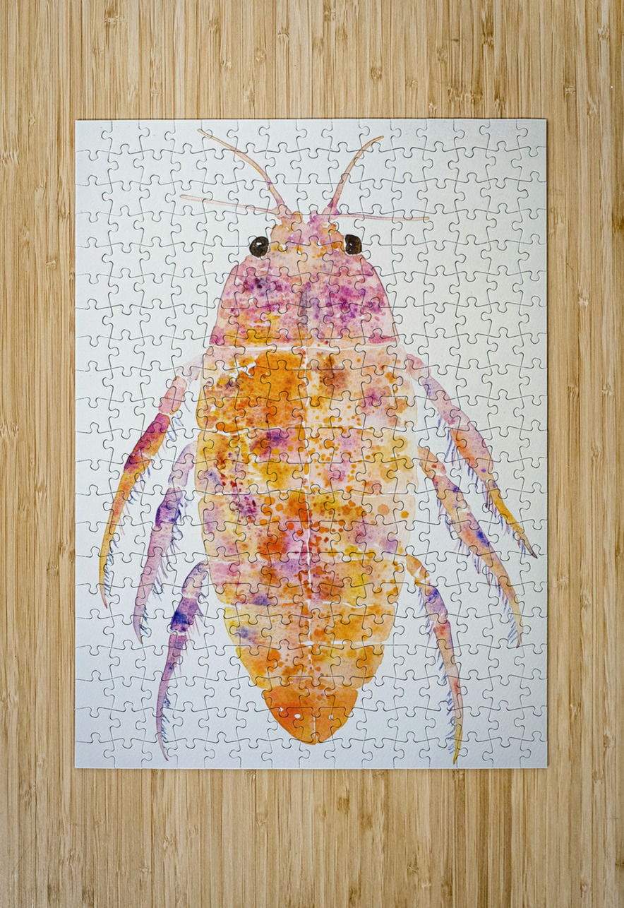Chromatic Crustacean JH92N3 45 Abstract Rebellion Puzzle printing