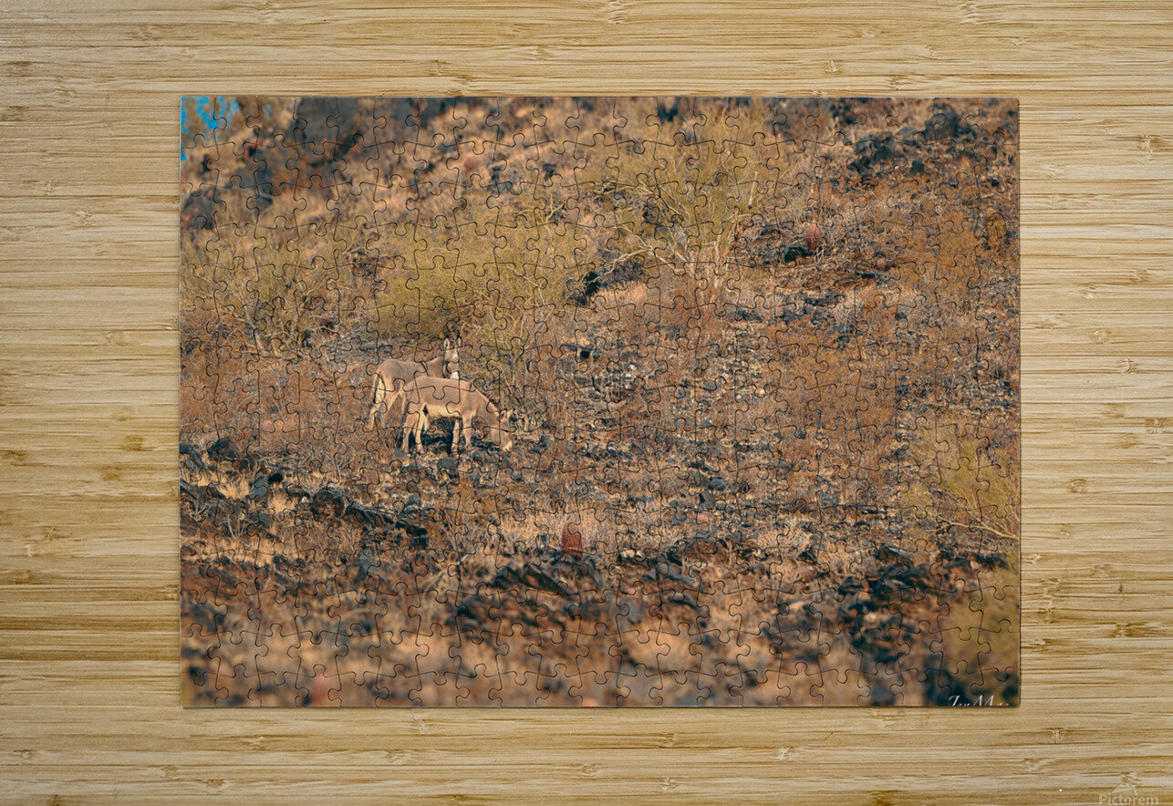 DSC 5281 JenMas Puzzle printing