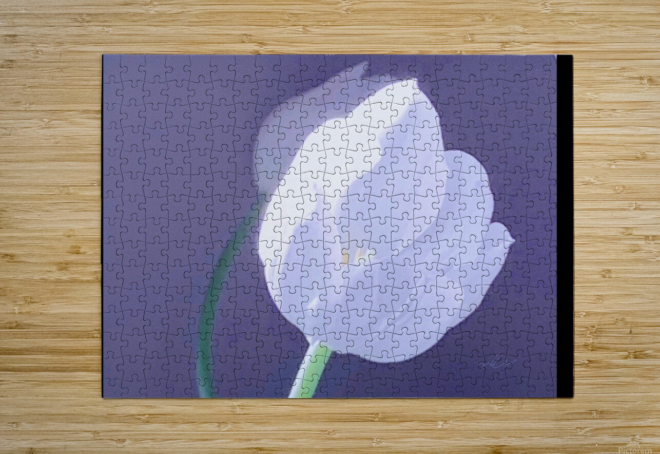 IMG 9929 m Karla Wave Puzzle printing