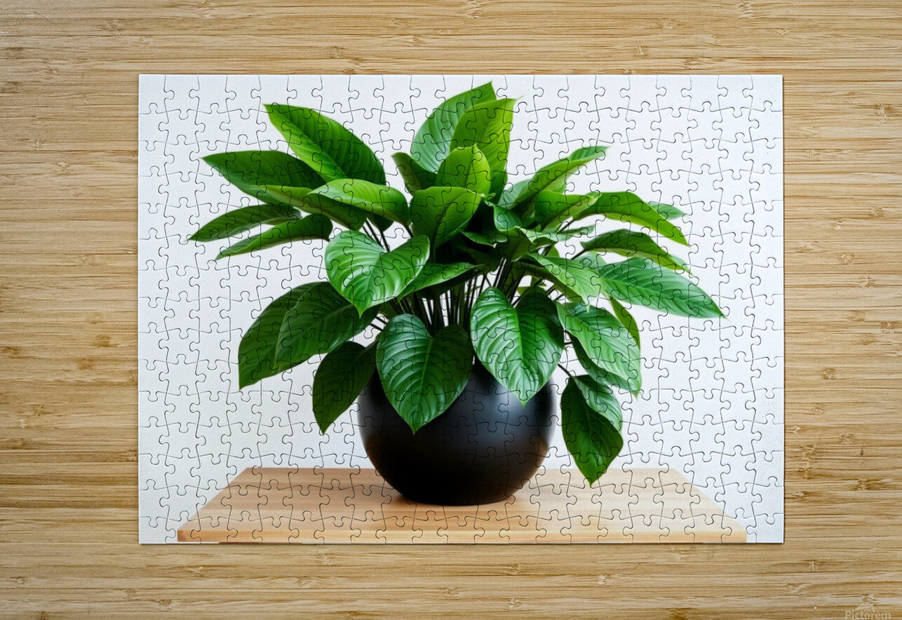 Vibrant Green Plant in Modern Black Pot Carole Bally Puzzle printing
