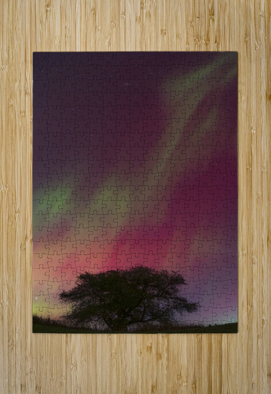 Kemble Tree Aurora Vertorama Dean MacDonald Photos Puzzle printing