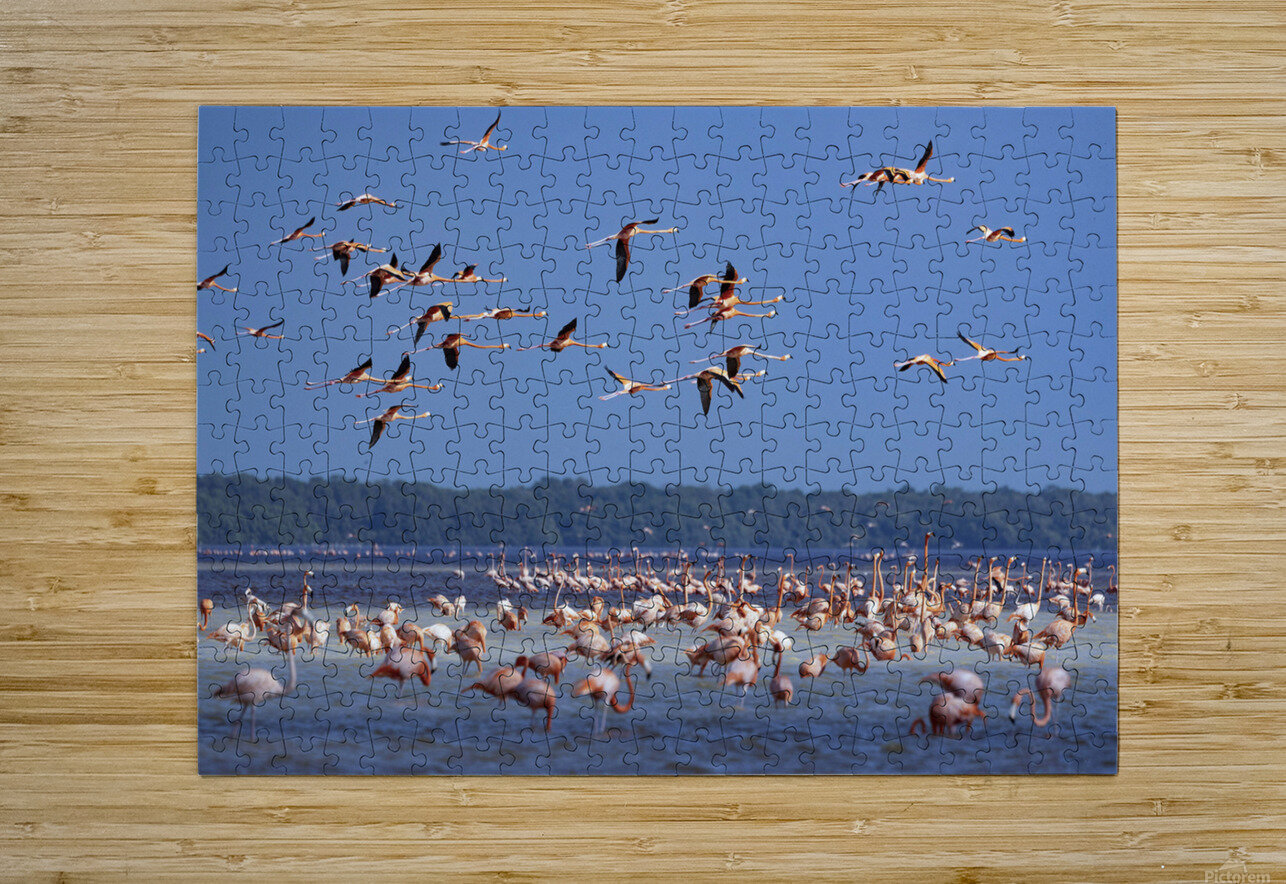 Celestun flamingos NatureSnaps Puzzle printing